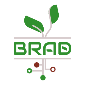 BRAD TECHNOLOGY